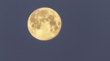 Full Moon (1 of 1)